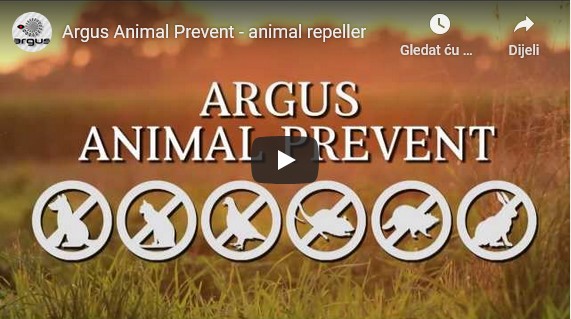 animal-prevent-promo-video